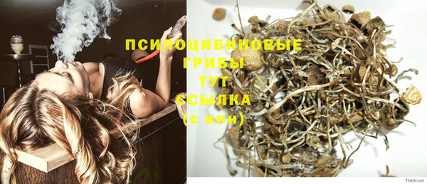 прущие крисы Абаза