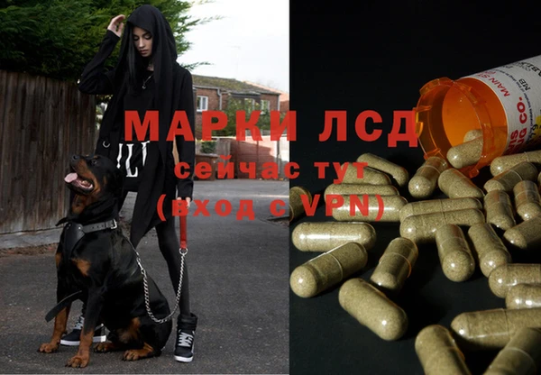 герыч Абинск