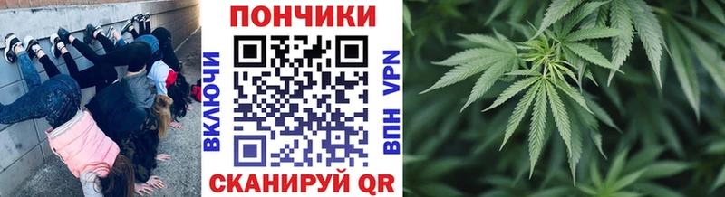 Канабис Bruce Banner Исилькуль